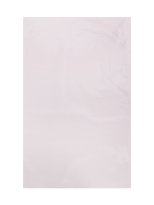 Bio Low-Density Flat Poly Bag 7 x 10.2 in, 1.5 mil, 1 kg Packs (55 lb/Case)