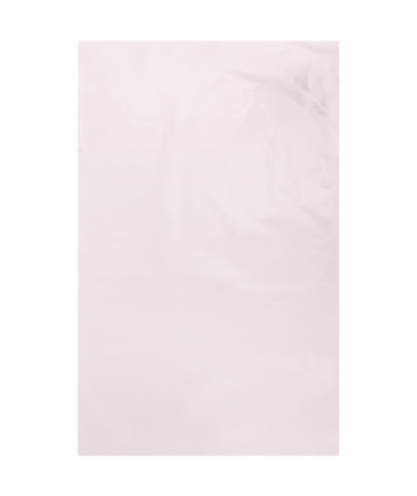 Bio Low-Density Flat Poly Bag 7.9 x 11.8 in, 1.5 mil, 1 kg Packs (55 lb/Case)