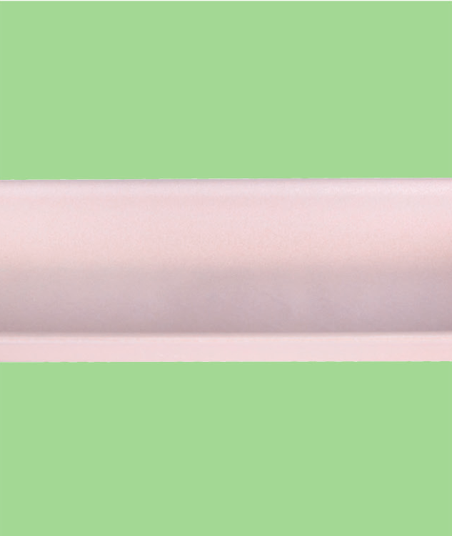 Bio Foam Tray No. 835, 8.7 x 3.9 in (500/Case)
