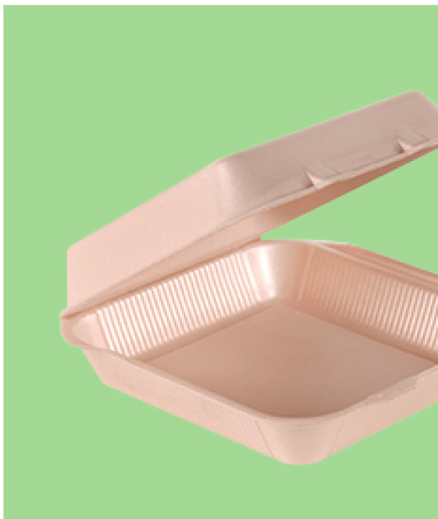 Bio Foam Hinged Container 7 x 7 in, 1-Compartment (200/Case)