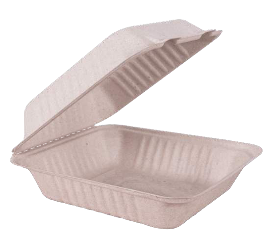 Compostable Hinged Container 8 x 8 in, 1-Compartment (200/Case)