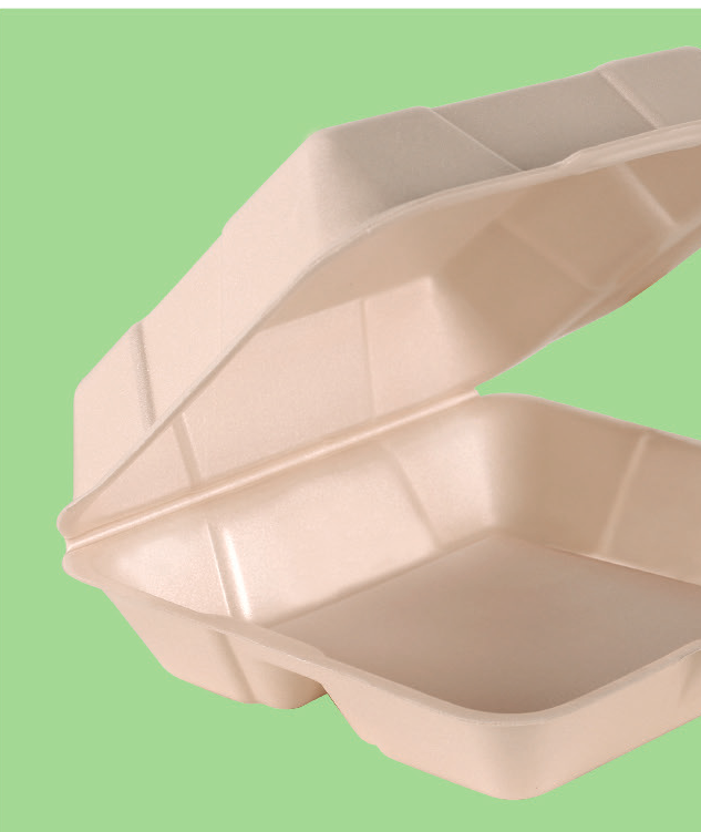 Bio Foam Hinged Container 8 x 8 in, 1-Compartment (200/Case)