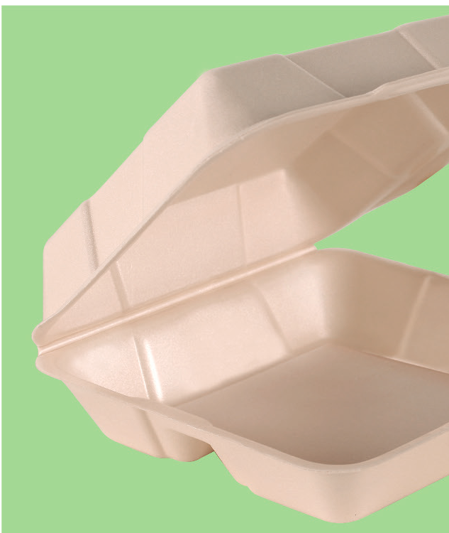 Bio Foam Hinged Container 9 x 9 in, 1-Compartment (200/Case)