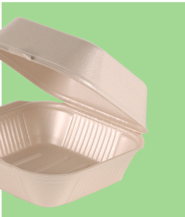 Bio Foam Hinged Hamburger Container 6 x 6 in (500/Case)