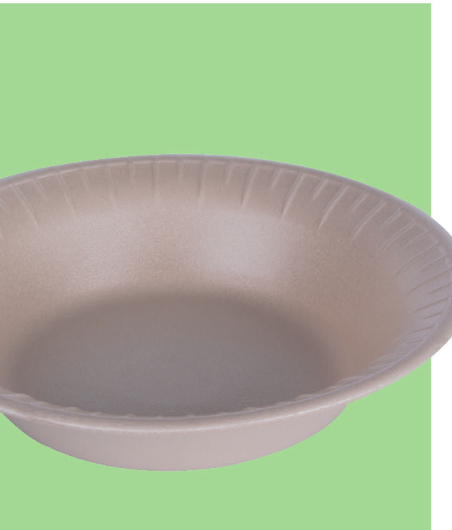 Bio Foam Bowl 20 oz, 8 in (500/Case)