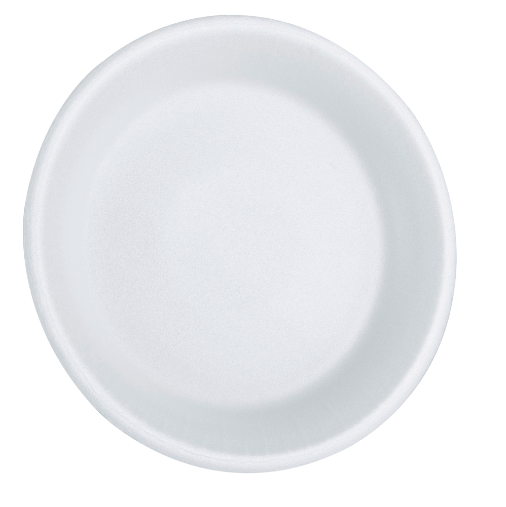 Foam Plate 6 in (500/Case)
