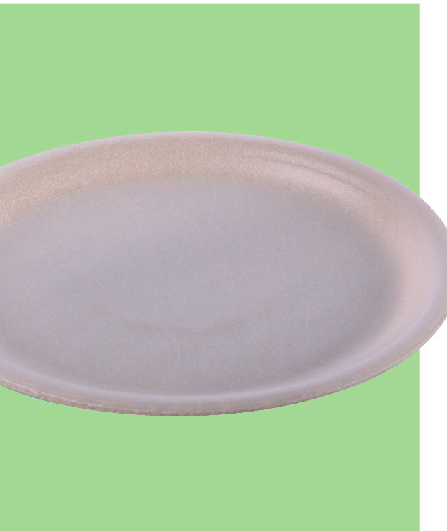 Bio Foam Plate 6 in (500/Case)