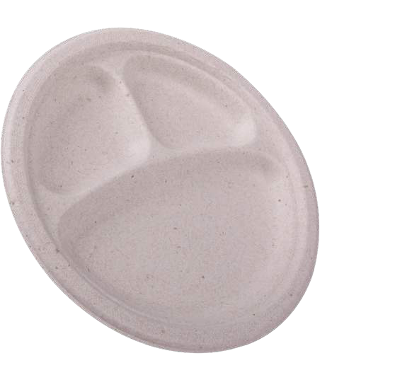 Compostable Plate 9.2 in, Divided (400/Case)