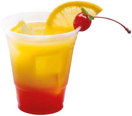 PP Plastic Cup 12 oz, EU Series (1,000/Case)