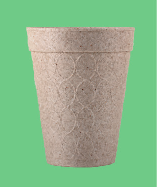 Bio Foam Cup 10 oz (1,000/Case)