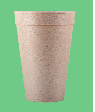 Bio Foam Squat Container 32 oz (300/Case)