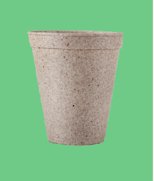 Bio Foam Cup 8 oz (1,000/Case)
